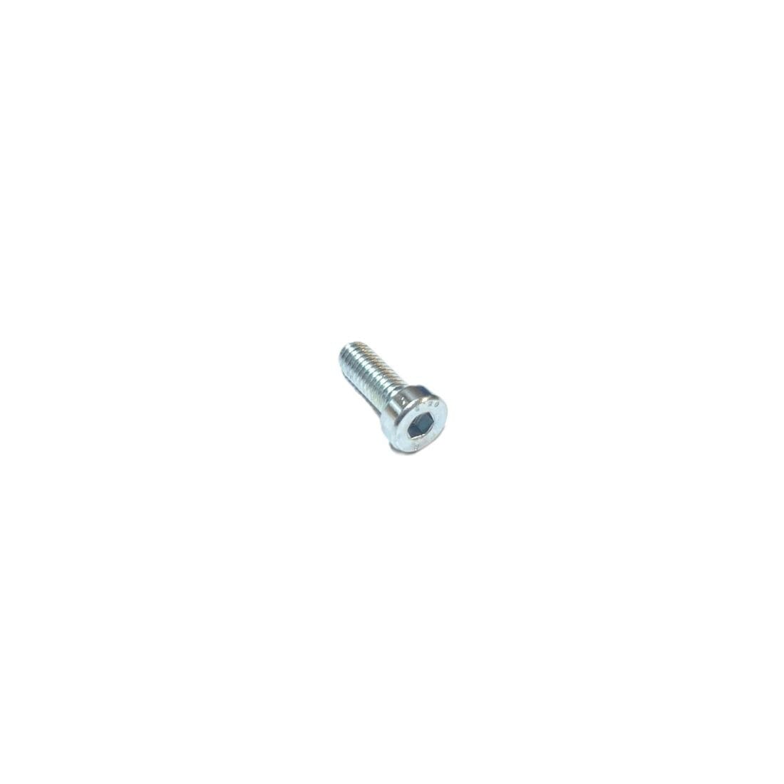 MAGURA MISC SCREW-CAP HEAD-CM6X1X16